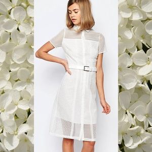 NWT Lost Ink Lace Dress (Asos) Sz.6US/10UK